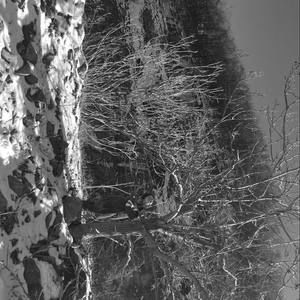 Meet your Posher, Jordyn